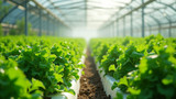 Hydroponics uses less land