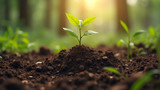 Soil is a primary medium required