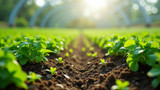 Hydroponics greatly reduces soil erosion risk