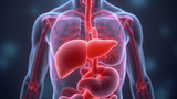 Liver cancer patients can benefit from a liver transplant