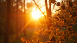 Morning sunlight reduces symptoms of Seasonal Affective Disorder