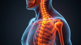 A lack of vitamin D increases the risk of osteoporosis