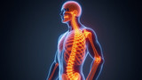 Vitamin D deficiency links to weaker bone formation