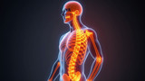 Vitamin D deficiency leads to weakened bone density