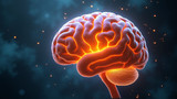 Omega-3 fatty acids support brain health