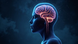 The brain is most active after waking up
