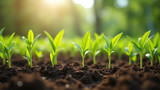 Pesticides can harm beneficial microorganisms in the soil