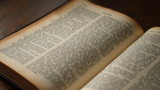 A dictionary is necessary for accurate vocabulary
