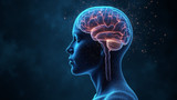 Neurological processes govern human consciousness