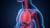 Low oxygen levels trigger changes in the respiratory system