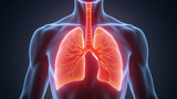 A strong diaphragm supports the expansion of lung volume