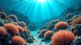 Coral reef restoration involves replanting and reintroducing coral