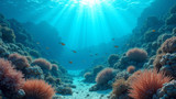 Human activities damage healthy coral reefs