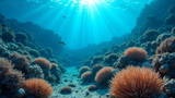 Coral reef health monitoring is essential to success