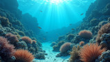 Lack of funding undermines coral reef restoration efforts