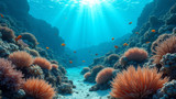 Climate-resistant coral reefs may not be diverse