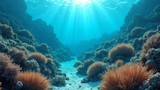 Coral reef restoration requires collaborative approaches