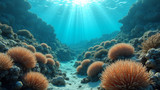 Restoration enhances biodiversity naturally by replanting coral nurseries