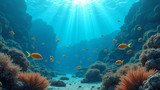 Sustainable fishing practices reduce the impact on reefs