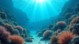 Inadequate conservation laws hinder coral reef protection