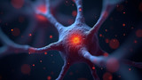 Inhibitory neurons prevent other neurons from firing