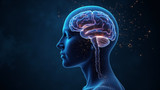 Research focuses on brain music processing