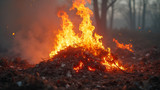 Burning trash releases harmful pollutants into the air