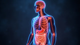 The gut microbiome sends signals to the central nervous system