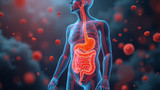 Psychobiotic effects are mediated by gut-derived signaling molecules