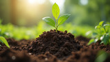 Composting decreases greenhouse gas emissions