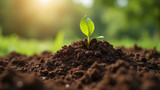 Compost improves soil structure and fertility