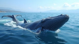 Locations near the coast offer optimal whale watching experiences