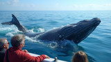 Whale watching tours teach people about whale behavior