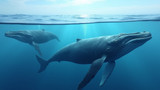 Whales migrate annually to specific locations