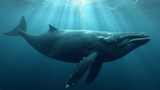 Disturbing whales can cause stress and injury