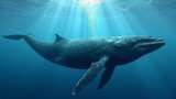 Noise regulation helps whales stay healthy