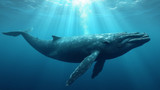 Whale watching is banned in certain marine ecosystems