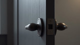 Smart locks can be controlled with voice commands