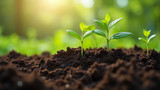 Soil provides beneficial microorganisms for plant health