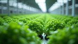 Hydroponic systems need precise pH control for optimal growth