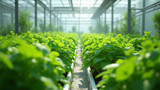 Hydroponic systems use artificial nutrients