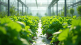 Hydroponics uses less water than traditional farming methods