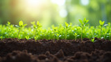 Climate and soil quality are key to growth