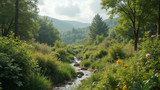 Neglect of gardens harms local ecosystems