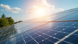 Solar panels convert sunlight into usable electricity directly