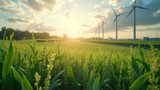 Biofuels contribute to greenhouse gas emissions indirectly