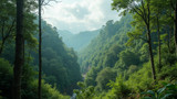 Deforestation leads to loss of biodiversity and oxygen