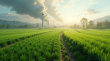 High greenhouse gas emissions occur with intensive farming practices